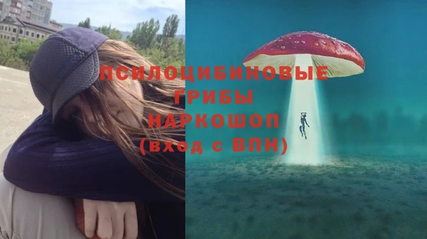 PSILOCYBIN Алзамай
