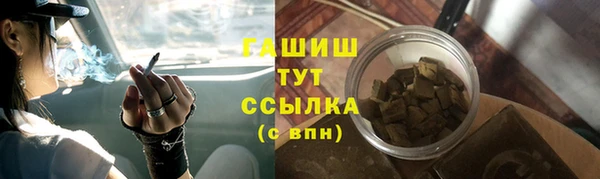 PSILOCYBIN Алзамай