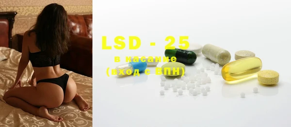 PSILOCYBIN Алзамай