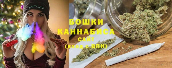 PSILOCYBIN Алзамай
