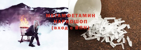 крисы Алексин