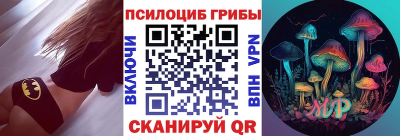 купить наркотики цена Грайворон кракен рабочий сайт Галлюциногенные грибы MAGIC MUSHROOMS