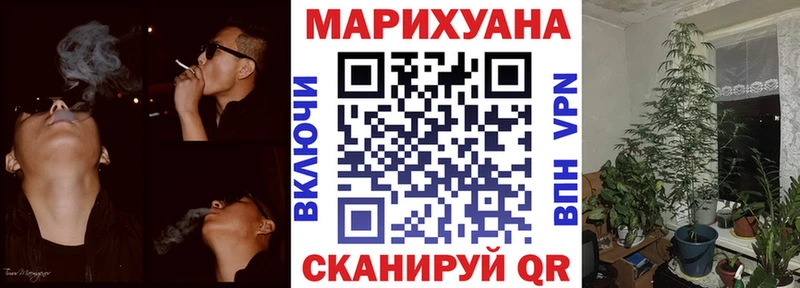 Канабис индика  как найти закладки  Грайворон 